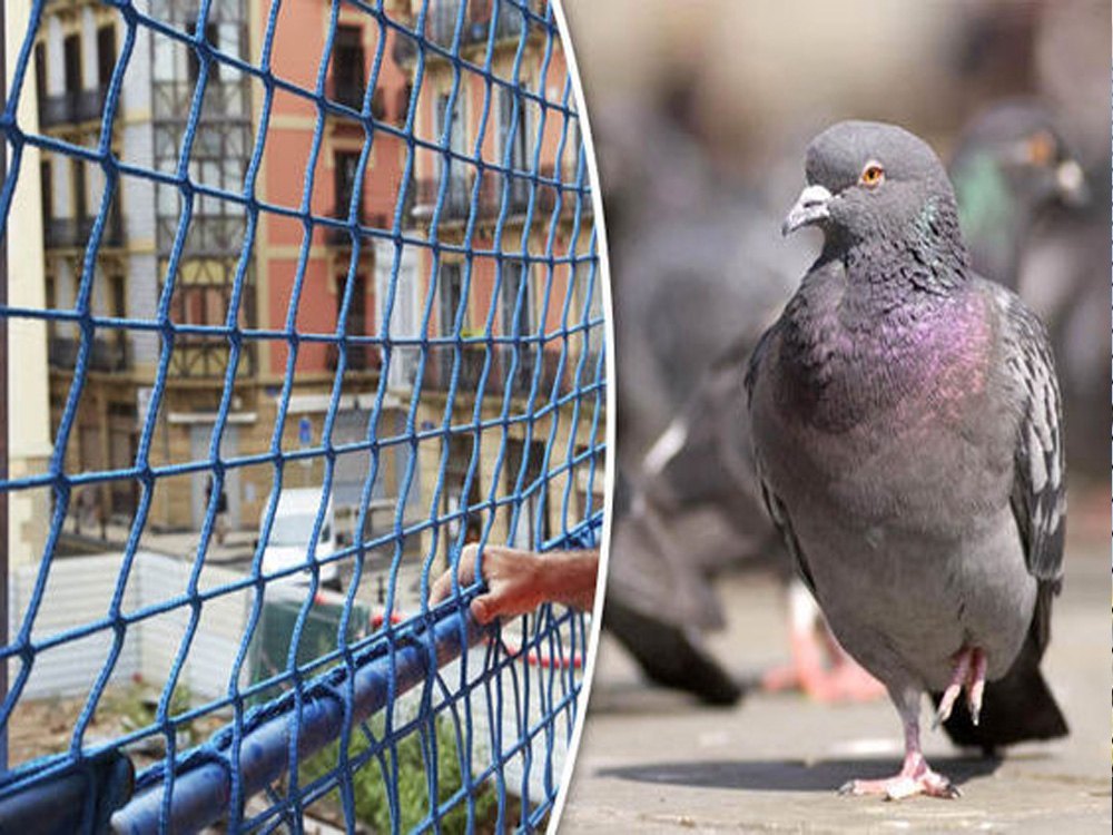 Anti-pigeon bird net fixed on a balcony